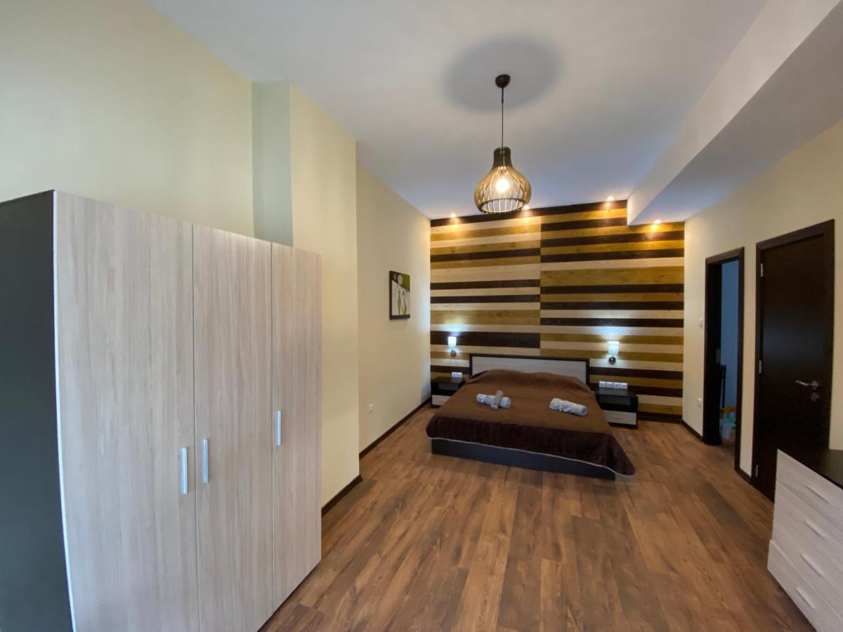 Cozy Apartment With Fantastic View 班斯科 外观 照片