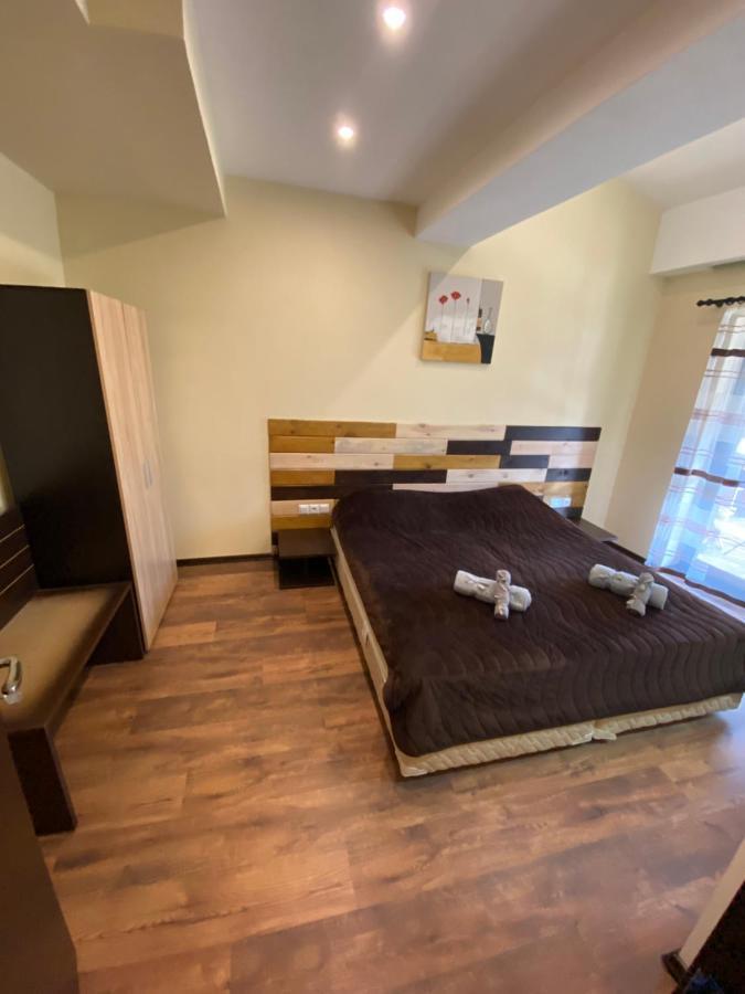 Cozy Apartment With Fantastic View 班斯科 外观 照片
