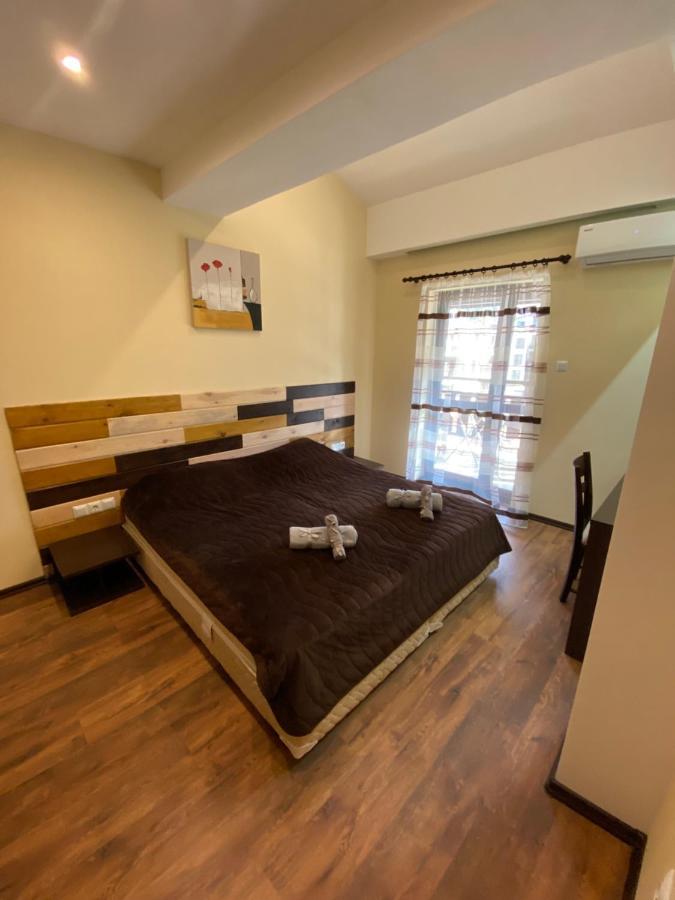 Cozy Apartment With Fantastic View 班斯科 外观 照片