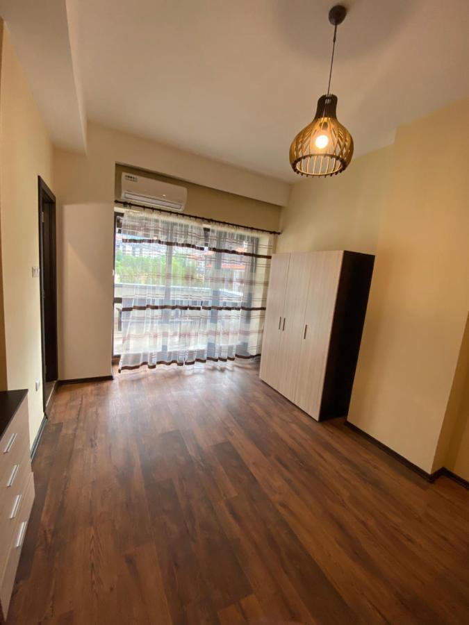Cozy Apartment With Fantastic View 班斯科 外观 照片